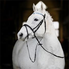 Kožená uzdečka Horze Pony