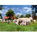 Síť pro elektrické ohradníky na ovce OVINET v. 90 cm, d. 50 m, jednoduchá špička, oranžová Síť pro elektrické ohradníky na ovce OVINET v. 90 cm, d. 50 m, jednoduchá špička, oranžová