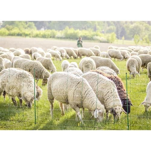 Síť pro elektrické ohradníky na ovce TitanNet v. 90 cm, d. 50 m,  jednoduchá špička Síť pro elektrické ohradníky na ovce TitanNet v. 90 cm, d. 50 m,  jednoduchá špička