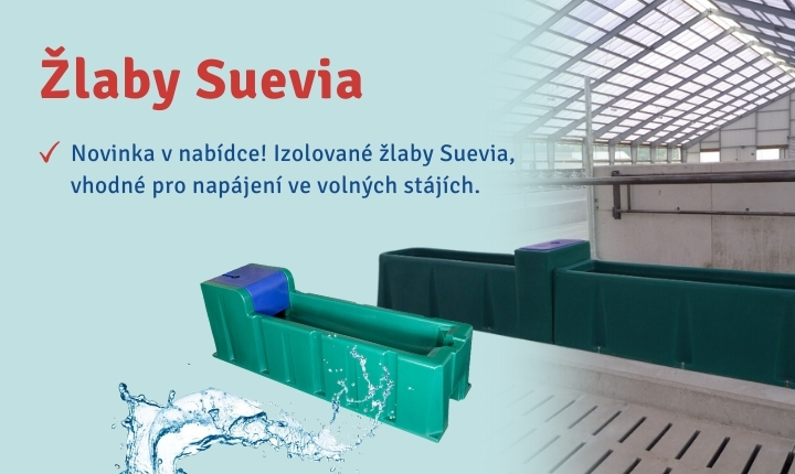 Žlaby Suevia