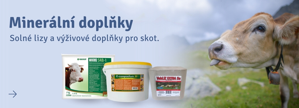 Solné lizy a minerály