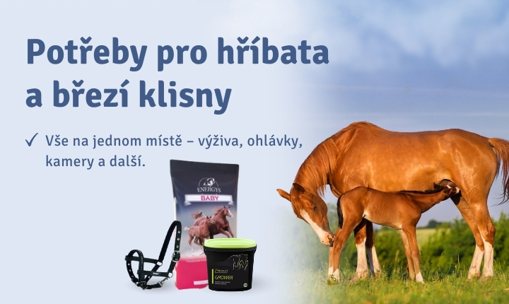 Potřeby hříbata a březí klisny